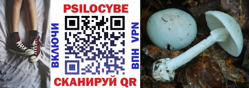 где можно купить наркотик  Самара  Галлюциногенные грибы Cubensis 
